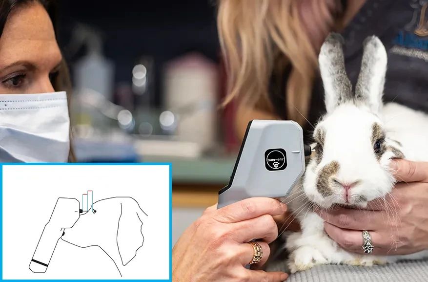 Animal Tonometry