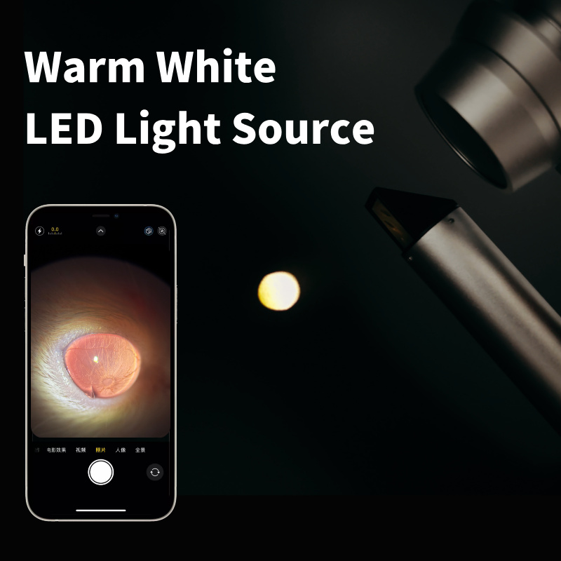 Warm-Colored LED Light Source