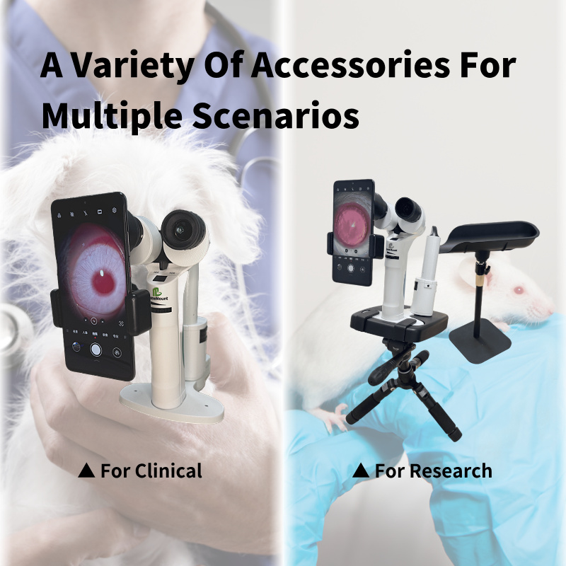 Multiple Scenarios
