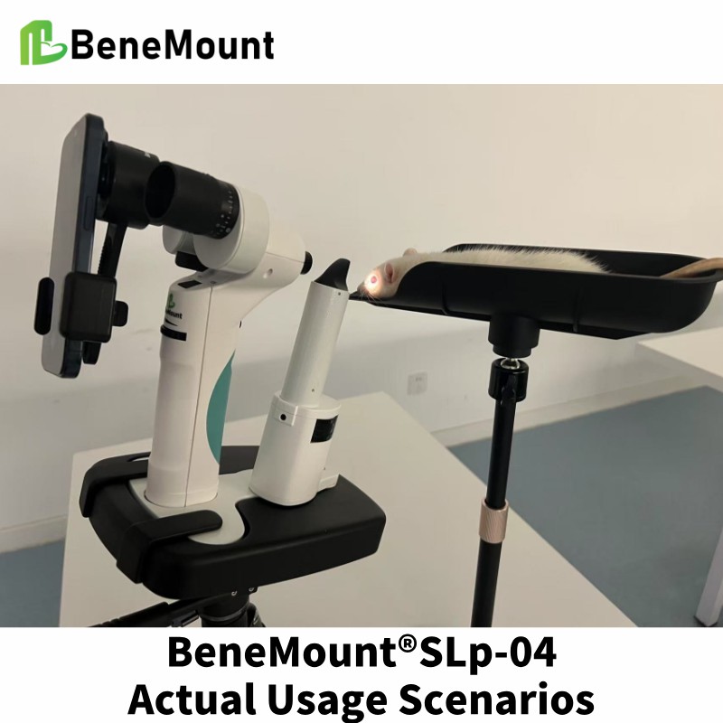 Small Animal Ophthalmic Experimental Stand usage scenario 1