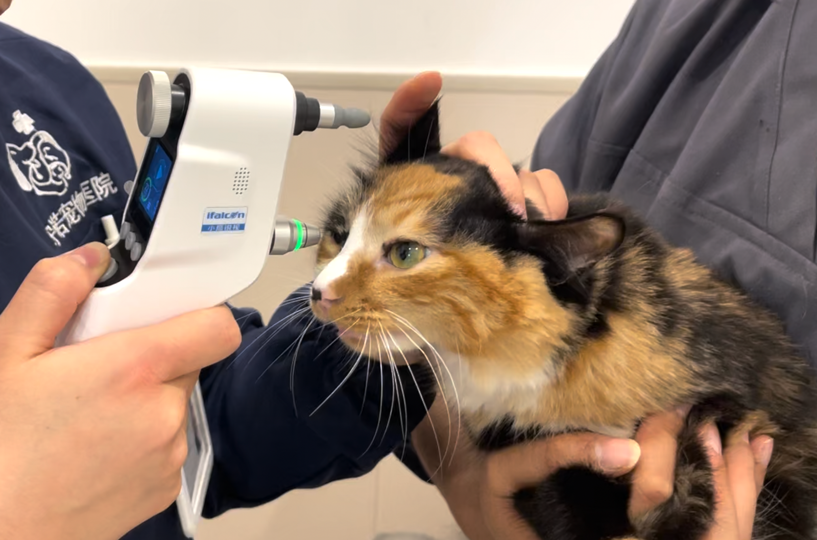 Clinical workflow documentation